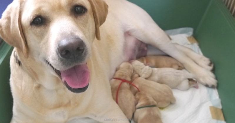 オレンジリボン旅立ちました♪ オレンジリボン旅立ちました♪